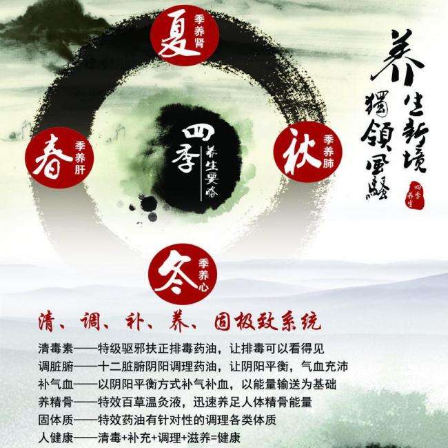 国际驾照可以在美国用吗